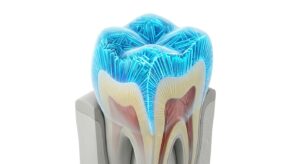 법랑질 치아 구조의 3D 의학적 일러스트레이션